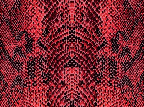 Červená hadí kůže vzorek pozadí Stock Fotografie