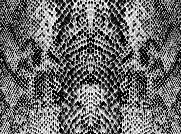 Черно-белый рисунок кожи рептилий — стоковое фото