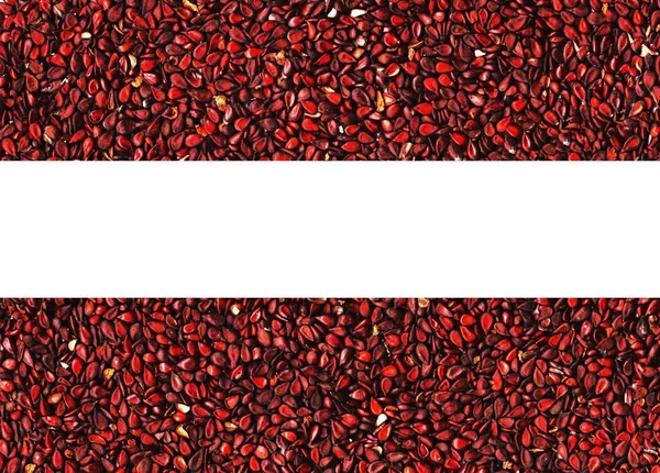 Apple seeds background — Stock Photo, Image