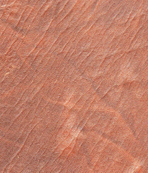 Brązowy skóry zwierząt tekstura tło — Zdjęcie stockowe