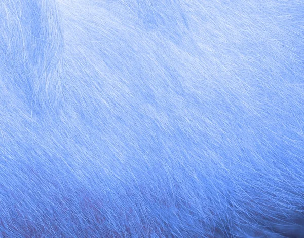 動物の毛皮テクスチャ背景 — ストック写真