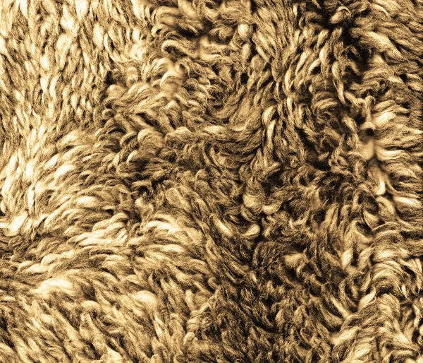 Brązowy futro tekstura — Zdjęcie stockowe