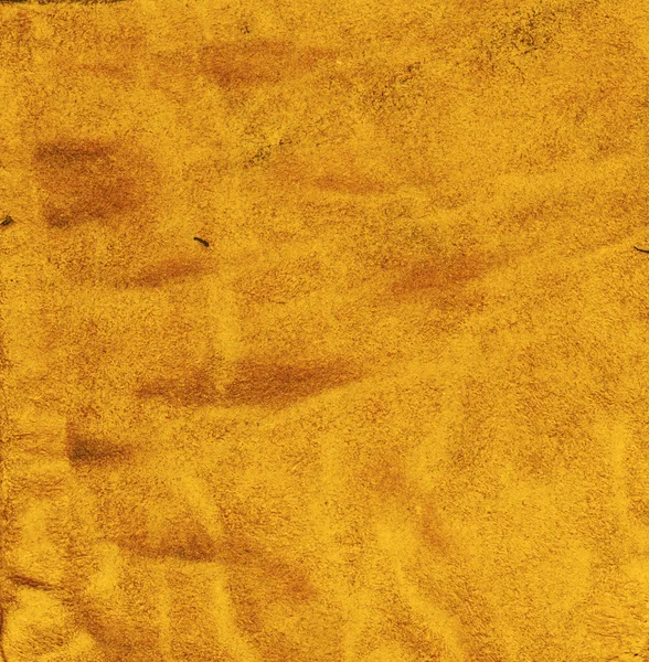 Yellow animal leather skin — Stock Photo, Image