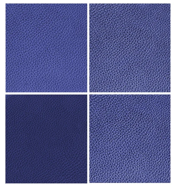 Set of blue animal leather
