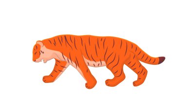 Kızıl Kaplan yavaşça sola doğru yürür. El çizimi kaplan illüstrasyon vektörü.