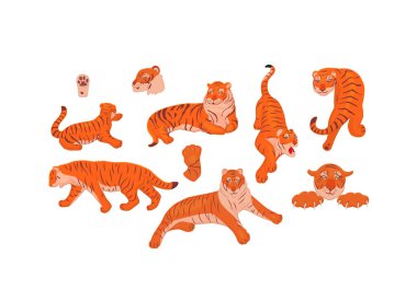 El çizimi vektör kümesi. Çizgi film çizimi. Çeşitli pozlarda kırmızı kaplanların görüntüsü ayakta, oturarak, uzanarak, işaret ederek