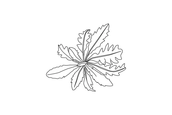 Löwenzahn-Vektor-Zeichenset. Vereinzelte Wildpflanzen und fliegende Samen. — Stockvektor