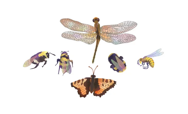 Ilustrace Hmyzem Kresba Rytí Inkoust Čára Vektor — Stockový vektor