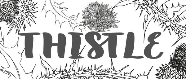 Banner Design Med Tistel Växtbaserade Graverad Stil Illustration — Stock vektor