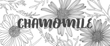 Papatyalı pankart tasarımı. Bitki oymalı stil illüstrasyonu.