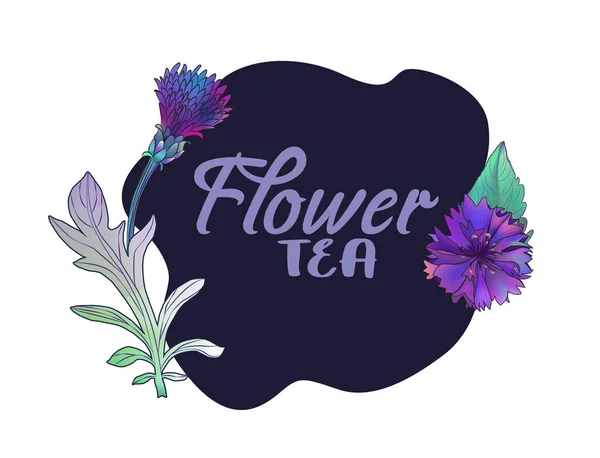 Tea Box Design Cornflower Herbal Engraved Style Illustration — стоковый вектор