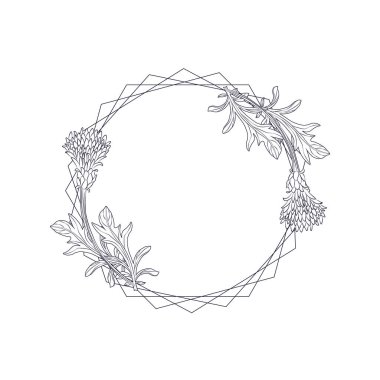 Cornflower Centaurea cyanus, wreath flower template. Flower floral background.
