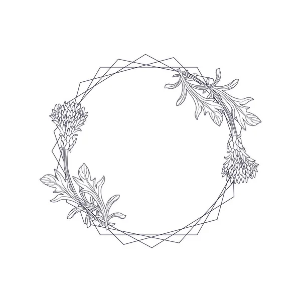 Cornflower Centaurea cyanus, wreath flower template. Flower floral background. — стоковый вектор