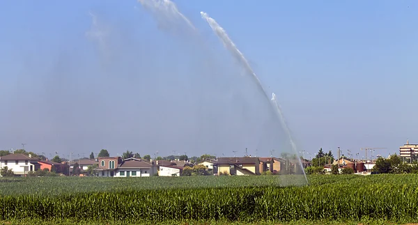 Irrigation Images De Stock Libres De Droits