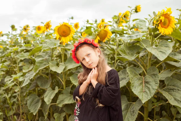 Beautiful Ukrainian Girl Ukrainian Girl Field Child Embroidered Dress Ukrainian — Fotografia de Stock