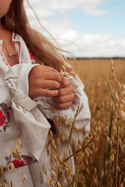 Beautiful Ukrainian Girl Ukrainian Girl Field Child Embroidered Dress Ukrainian — Fotografia de Stock