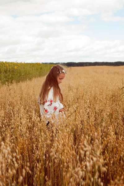 Beautiful Ukrainian Girl Ukrainian Girl Field Child Embroidered Dress Ukrainian — Fotografia de Stock