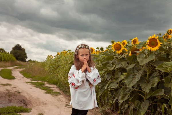 Beautiful Ukrainian Girl Ukrainian Girl Field Child Embroidered Dress Ukrainian Fotografia De Stock