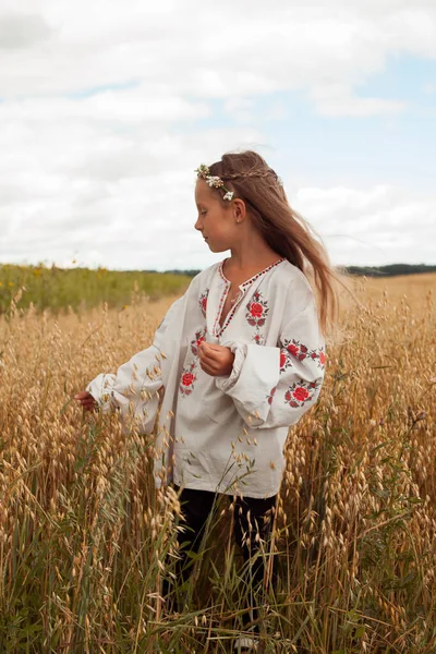 Beautiful Ukrainian Girl Ukrainian Girl Field Child Embroidered Dress Ukrainian Fotografia De Stock