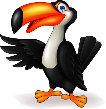 toucan kuş çizgi film