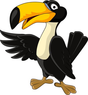 toucan kuş çizgi film