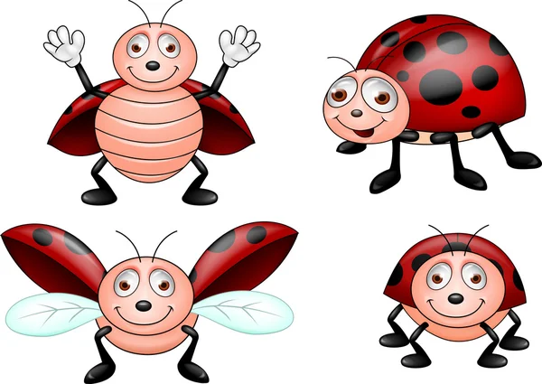 Ladybug cartoon — Stock Vector