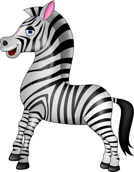 Zebra karikatür — Stok Vektör