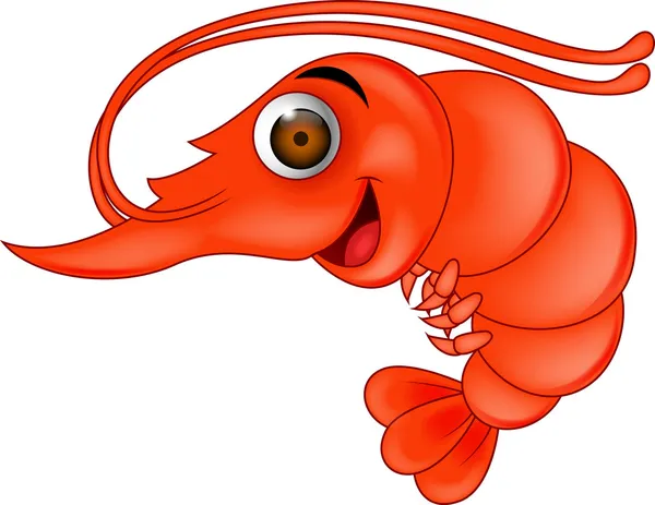 エビストックベクター ロイヤリティフリーエビイラスト Depositphotos