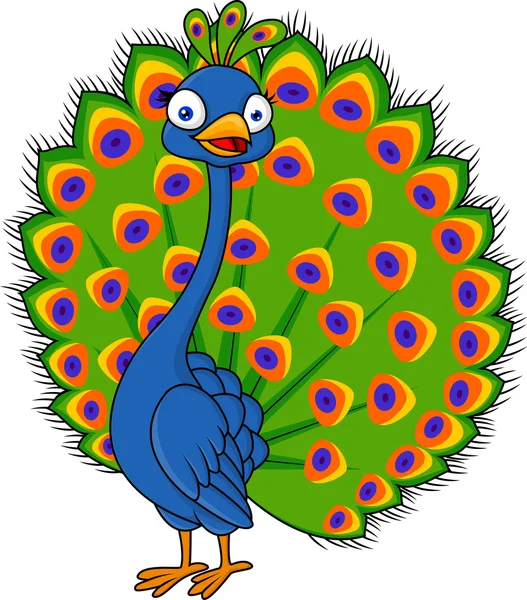 Peacock cartoon — Stock Vector