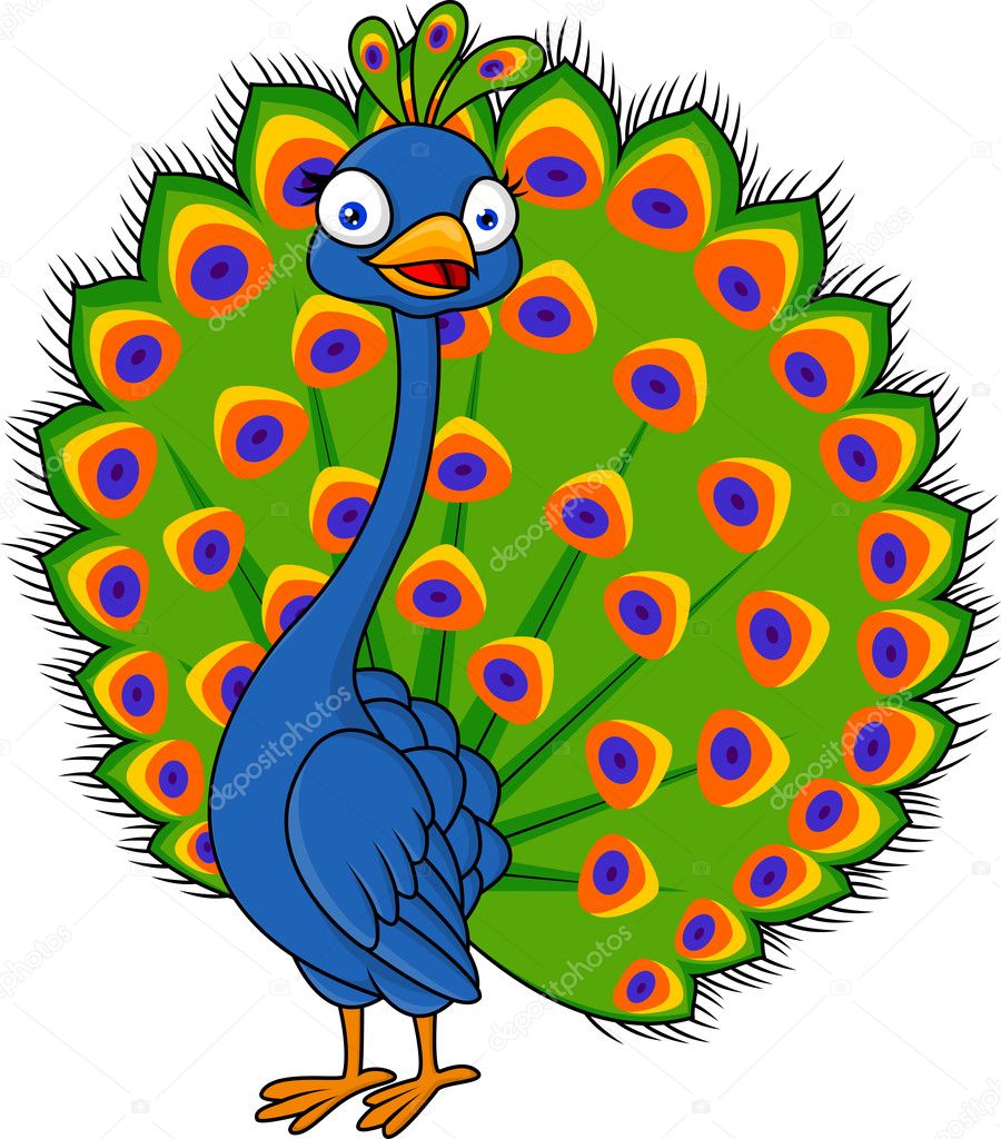 Peacock cartoon