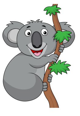sevimli çizgi koala bir ağaç üzerinde