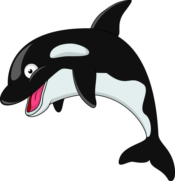 Killer whale