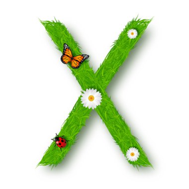 çim harf x beyaz zemin üzerine