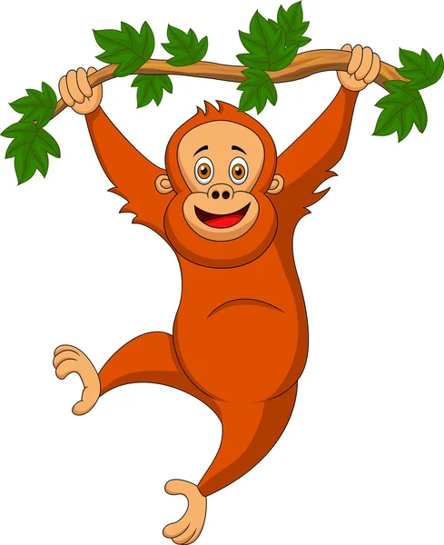 Desenhos animados orangotangos bonitos pendurados em um galho de árvore —  Vetores de Stock