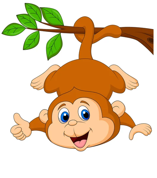 Cute monkey cartoon hanging with thumb up — Stock Vector