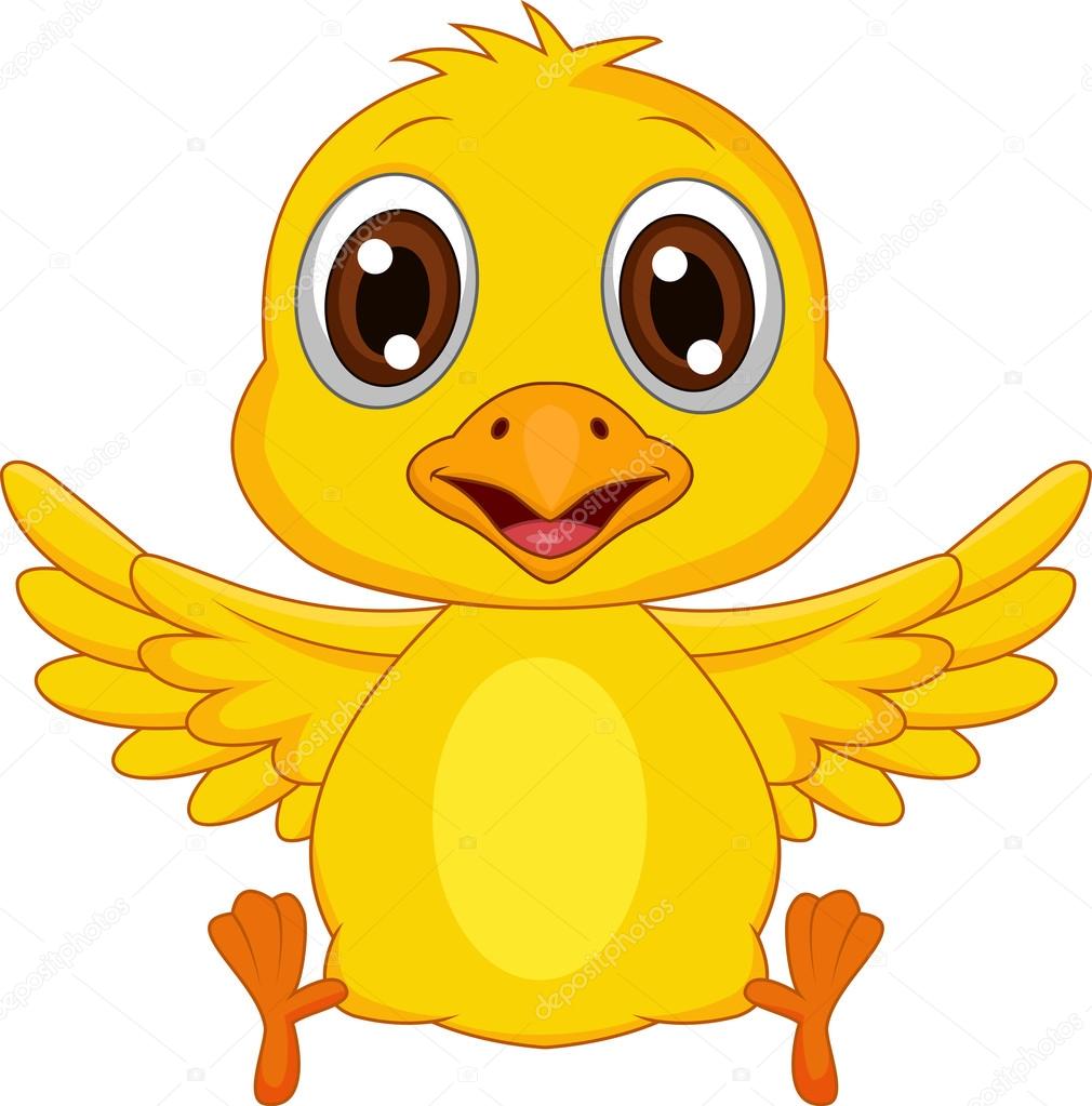 Cute baby chicken cartoon