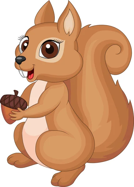 Kreskówka wiewiórka gospodarstwa żołądź — Wektor stockowy