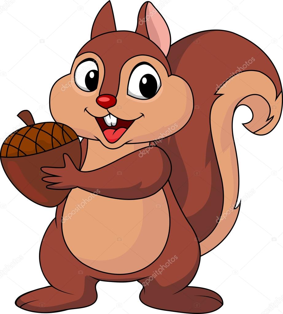 Squirrel cartoon wit