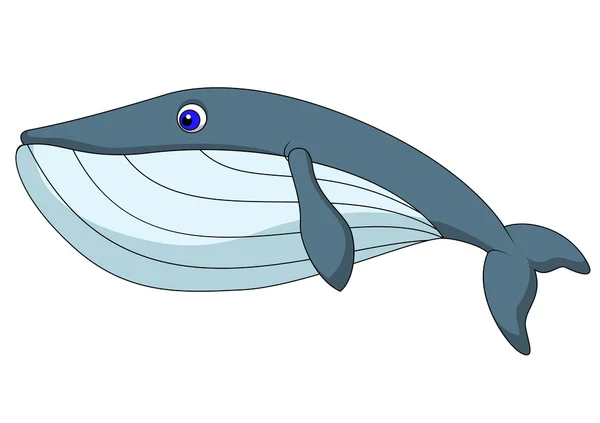 Cute whale cartoon — Stock Vector