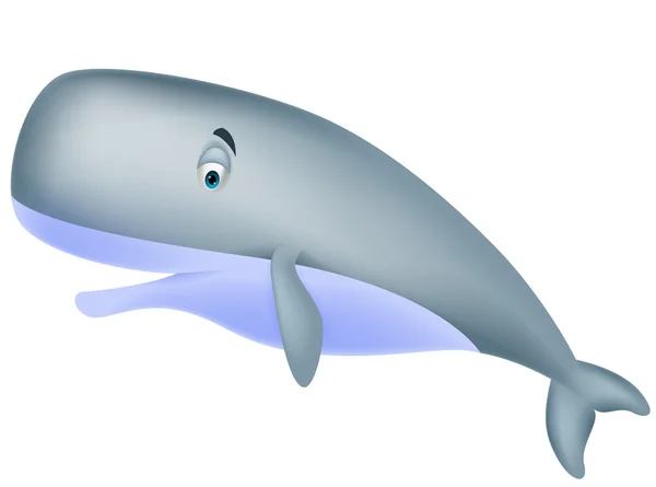 Cute sperm whale cartoon — Stock Vector