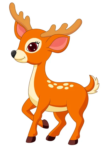 Cute fawn — Stock Vector