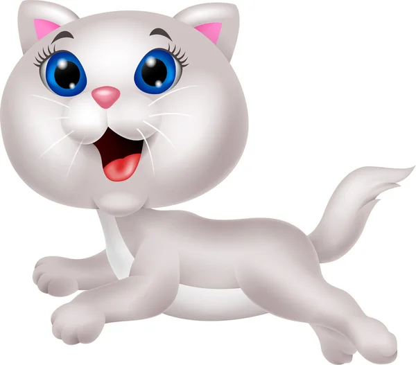 Cute white cat cartoon running — Stock Vector