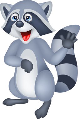 Rakun karikatür sallayarak