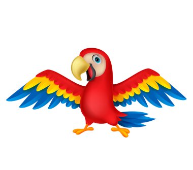 Cute macaw cartoon flying