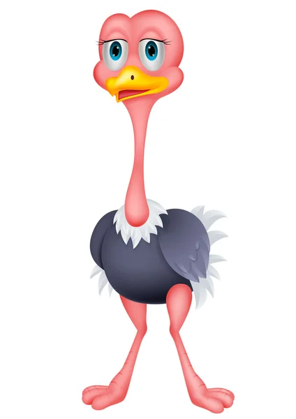 Ostrich cartoon — Stock Vector