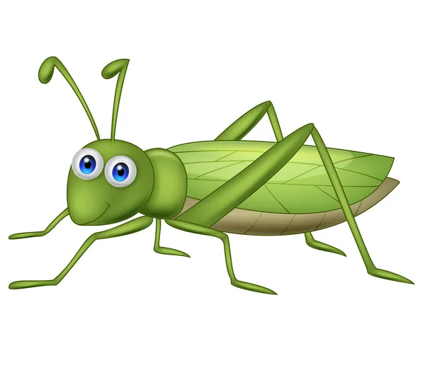 Cute grasshopper cartoon — Stock Vector