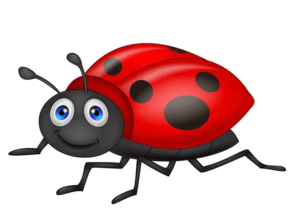 Carino coccinella cartone animato — Vettoriale Stock