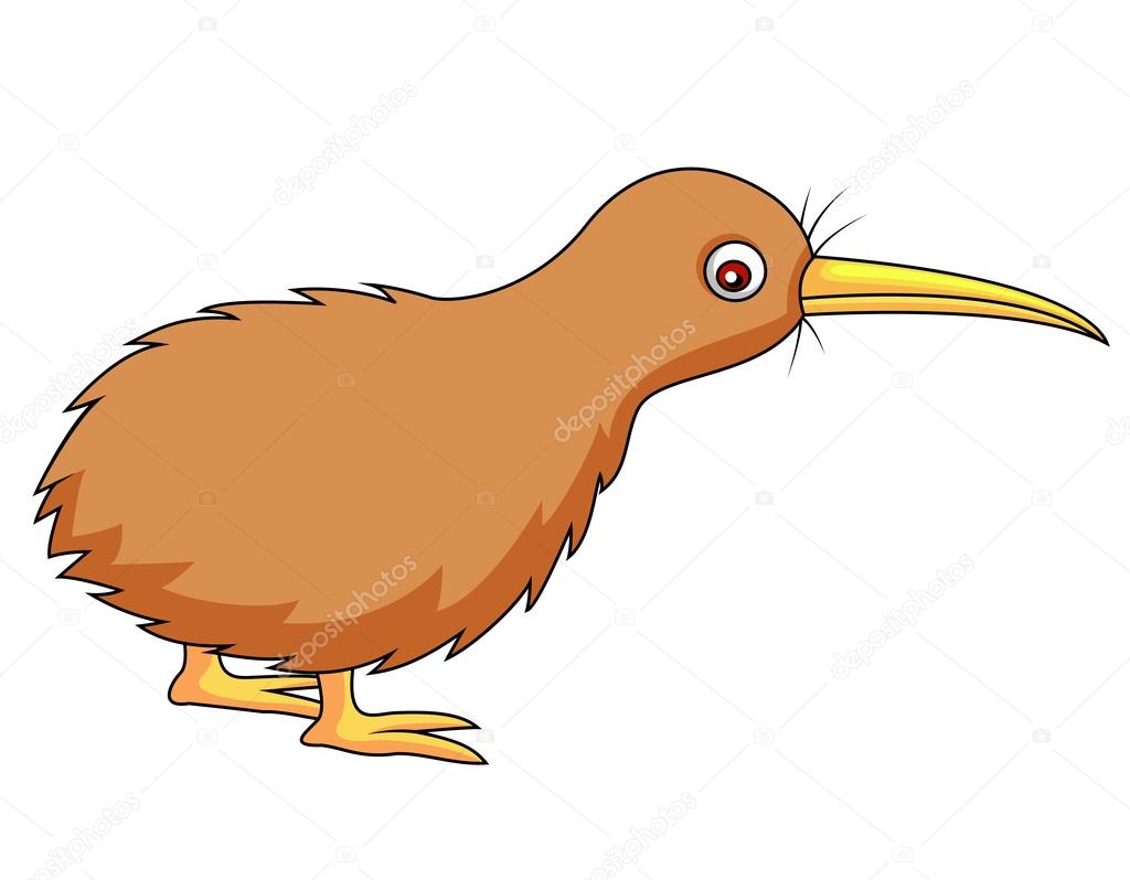 Cute kiwi bird cartoon