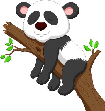 Uyuyan panda