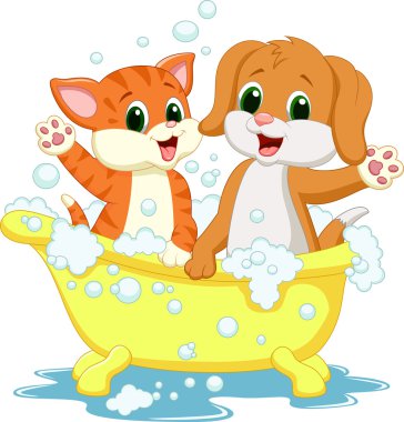 kedi ve köpek banyo